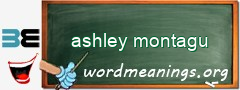 WordMeaning blackboard for ashley montagu